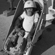 Image for article titled The First Animals In Space